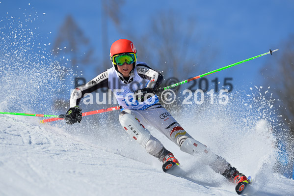 Sechzger Pokal SL 2015