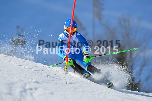 Sechzger Pokal SL 2015