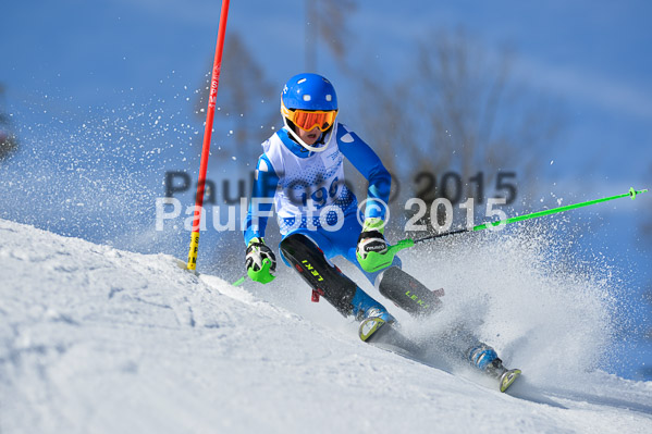 Sechzger Pokal SL 2015