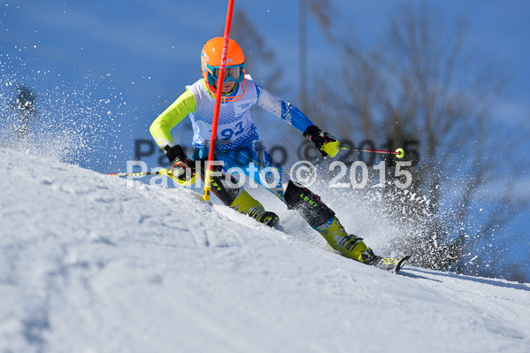 Sechzger Pokal SL 2015