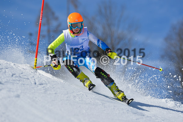 Sechzger Pokal SL 2015