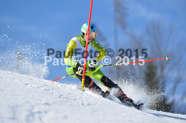 Sechzger Pokal SL 2015