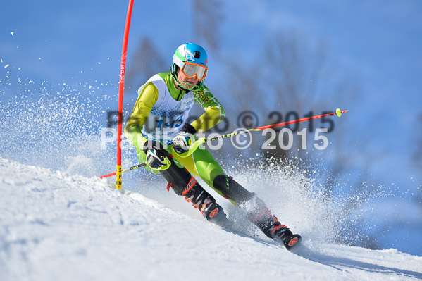 Sechzger Pokal SL 2015