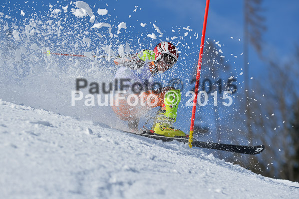 Sechzger Pokal SL 2015