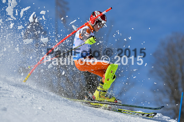 Sechzger Pokal SL 2015