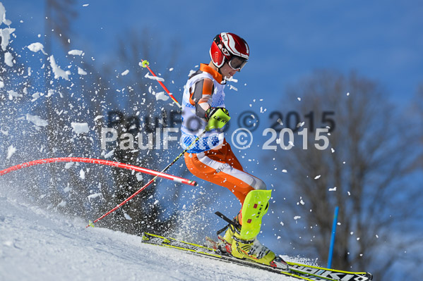 Sechzger Pokal SL 2015