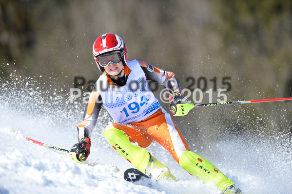 Sechzger Pokal SL 2015