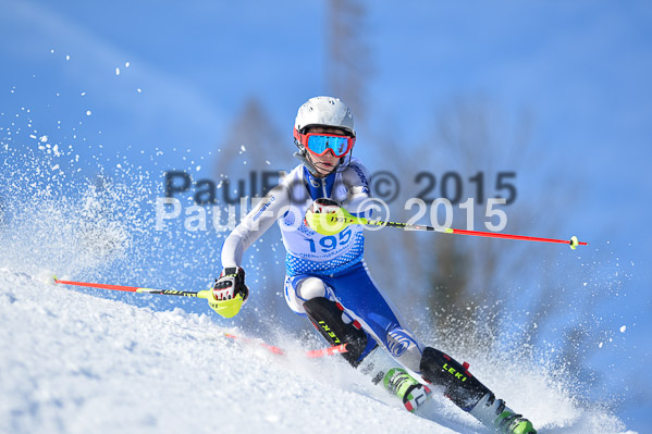 Sechzger Pokal SL 2015