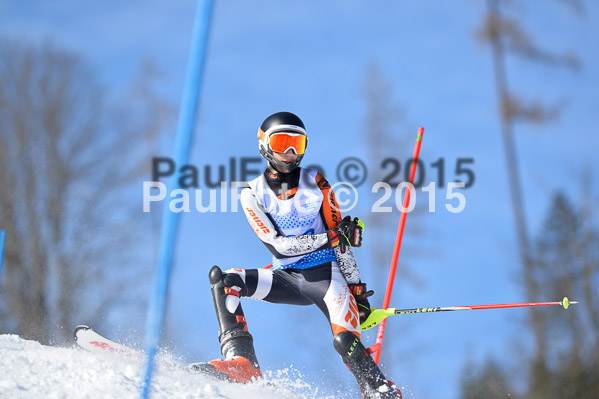 Sechzger Pokal SL 2015