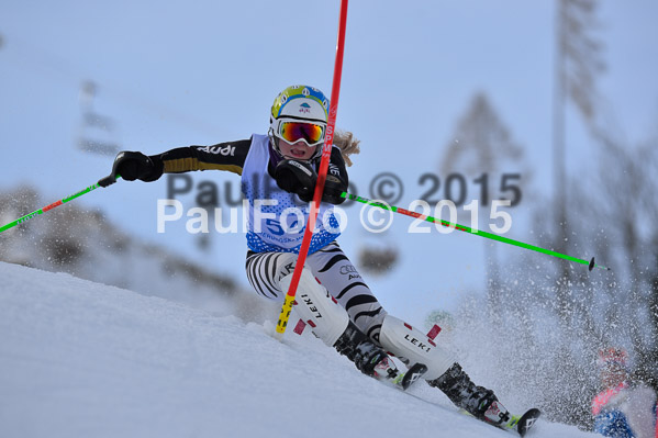 Sechzger Pokal SL 2015