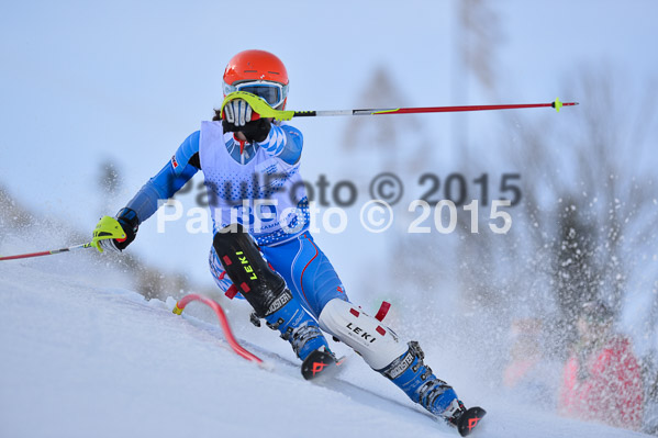 Sechzger Pokal SL 2015