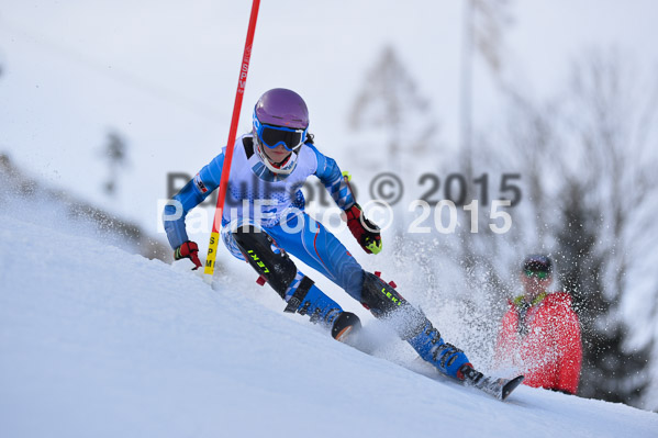 Sechzger Pokal SL 2015