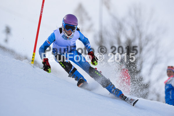 Sechzger Pokal SL 2015