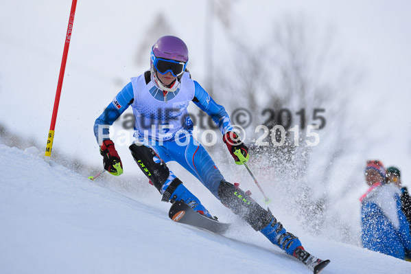 Sechzger Pokal SL 2015