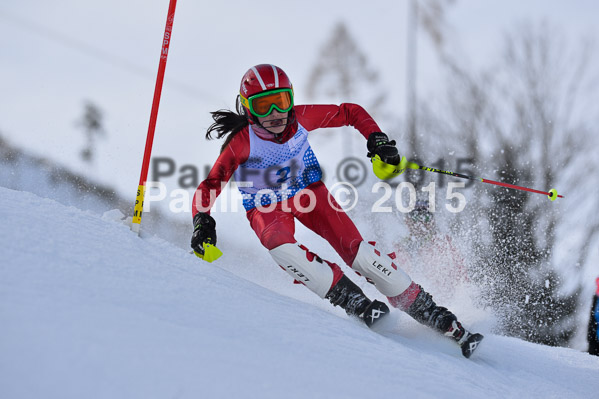 Sechzger Pokal SL 2015