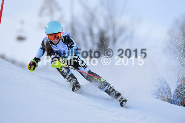 Sechzger Pokal SL 2015