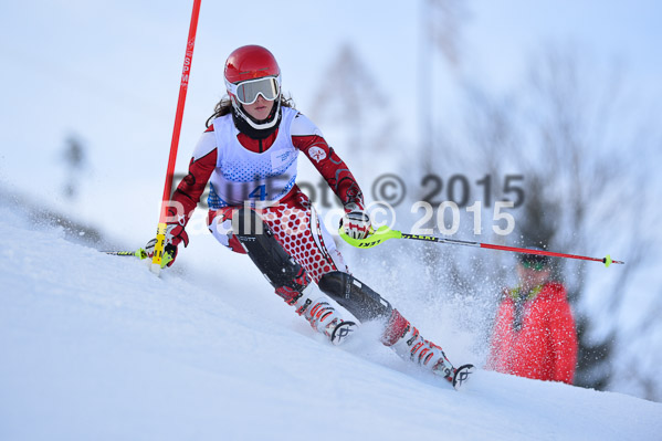 Sechzger Pokal SL 2015