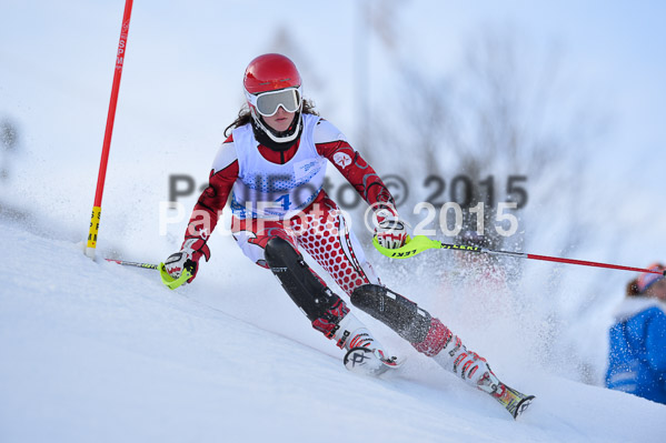 Sechzger Pokal SL 2015