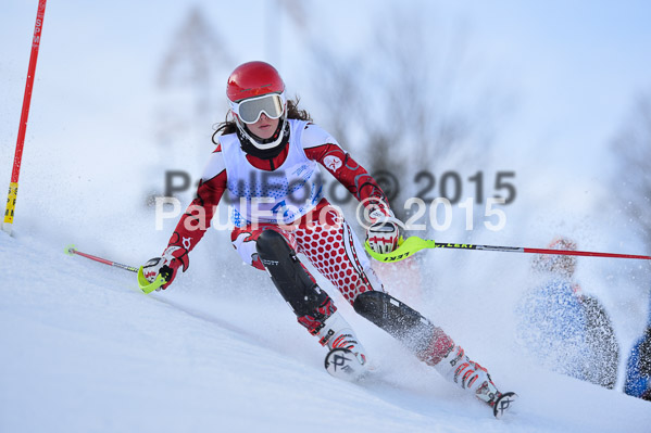 Sechzger Pokal SL 2015