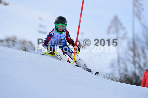 Sechzger Pokal SL 2015