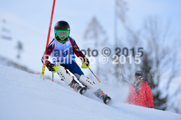 Sechzger Pokal SL 2015