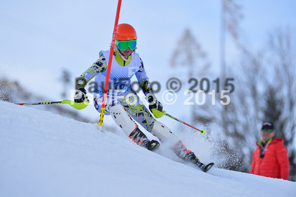 Sechzger Pokal SL 2015