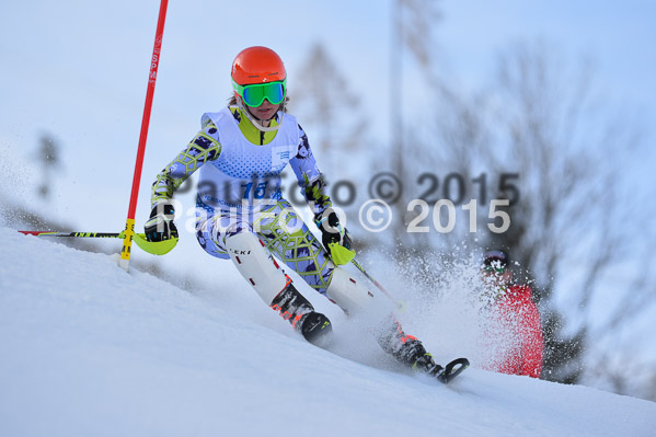 Sechzger Pokal SL 2015