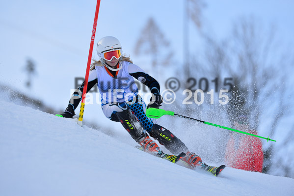 Sechzger Pokal SL 2015