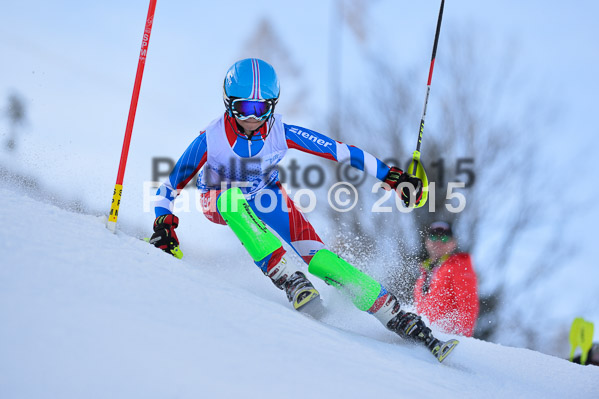 Sechzger Pokal SL 2015