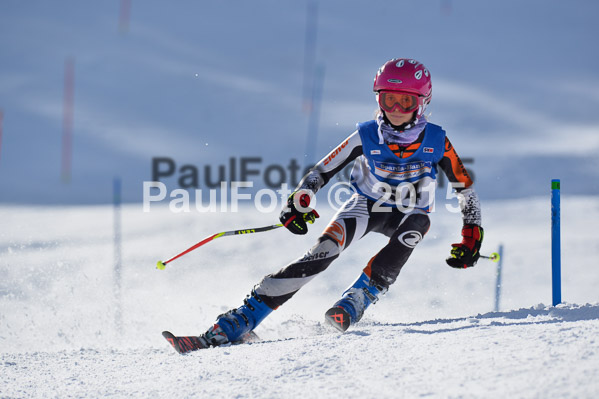 Sechzger Pokal U8/U10 2015