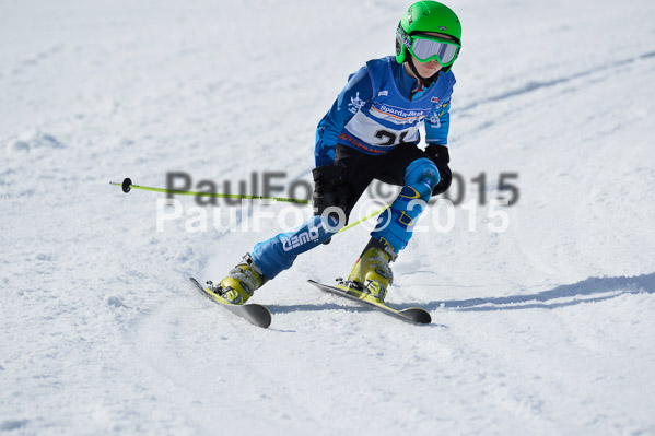 Sechzger Pokal U8/U10 2015