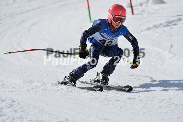 Sechzger Pokal U8/U10 2015