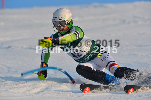 FIS NJR Slalom Herren 2015