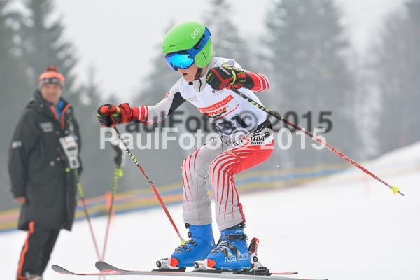 DSC U12 Finale 2015