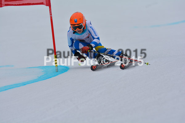 DSC U12 Finale 2015