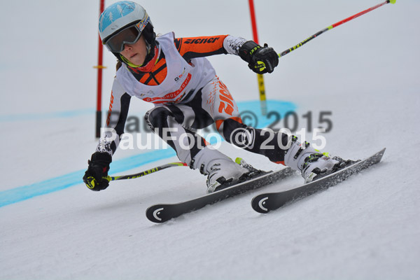 DSC U12 Finale 2015