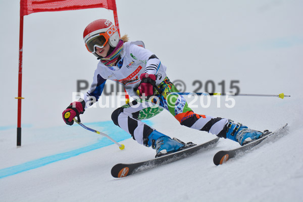 DSC U12 Finale 2015