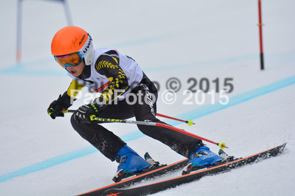 DSC U12 Finale 2015