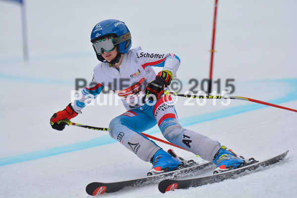 DSC U12 Finale 2015