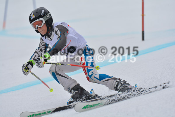 DSC U12 Finale 2015