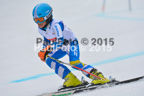 DSC U12 Finale 2015