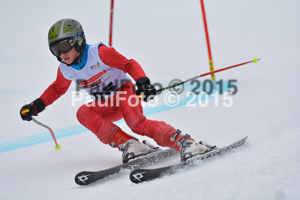 DSC U12 Finale 2015