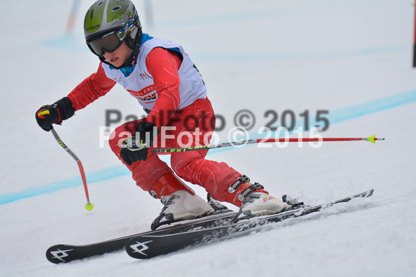 DSC U12 Finale 2015