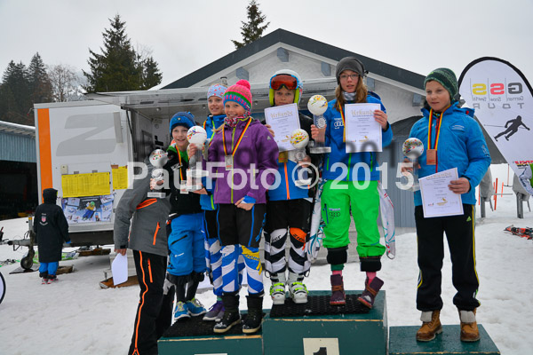 DSC U12 Finale 2015