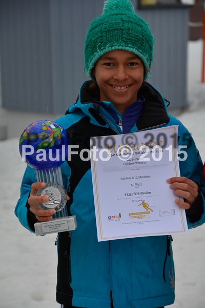 DSC U12 Finale 2015