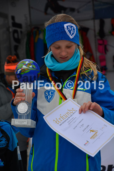 DSC U12 Finale 2015