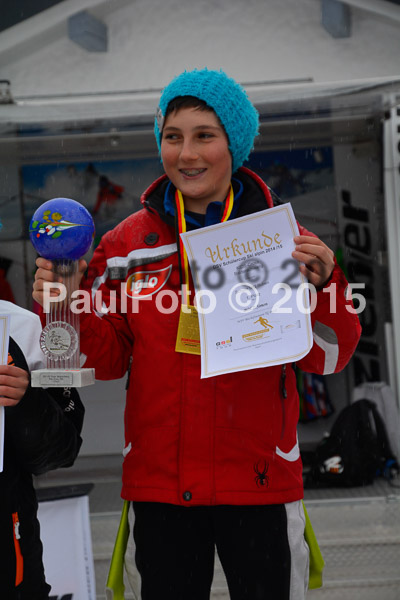 DSC U12 Finale 2015