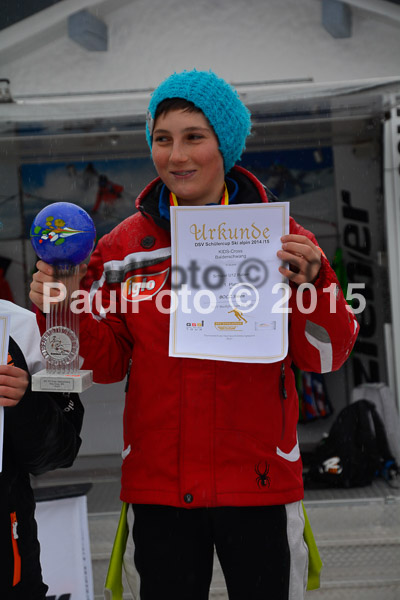 DSC U12 Finale 2015