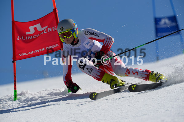 Int. Dt. Meisterschaft Riesenslalom Herren 2015