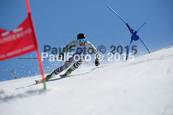 Int. Dt. Meisterschaft Riesenslalom Herren 2015